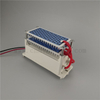 Fast heat dissipation ceramic sheet ozone generator module 220V 10g/H ozonizer