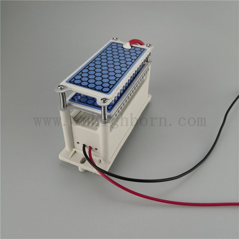 Fast heat dissipation ceramic sheet ozone generator module 220V 10g/H ozonizer