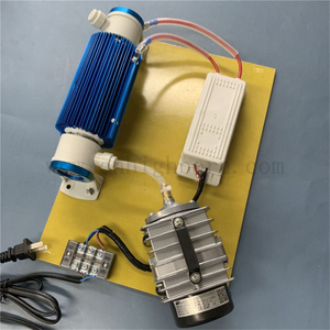 Customized 220V 10g/H 15g/h water purifier ozonator ozone generator module 