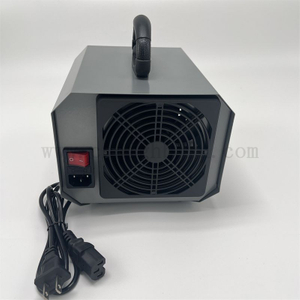 Portable 220V 15g/h 20g/h Powerful Commericial Air Purifiers Ozone Generator Machine with Plug