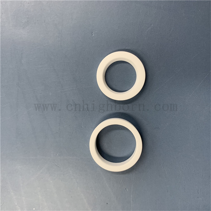 Customized High-hardness Alumina Ceramic Protection Cycle 95% AL2O3 Seal Ring