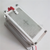 220V 10g/H Metal Mesh Ceramic Plate Ozone Generator Ozonizer Module