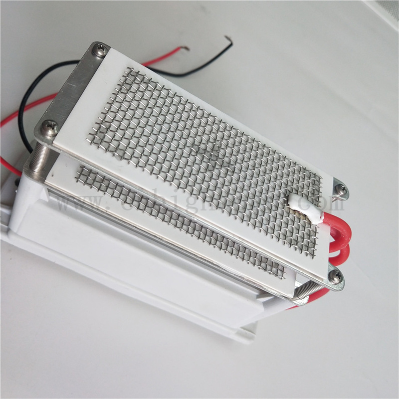 220V 10g/H Metal Mesh Ceramic Plate Ozone Generator Ozonizer Module