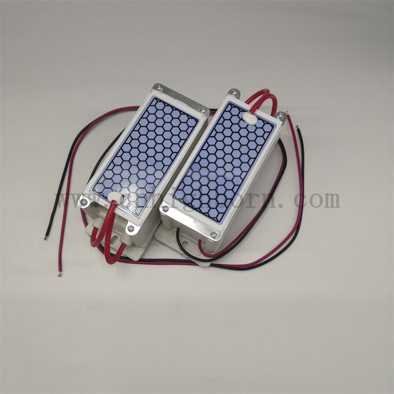 ozone generator module