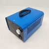 60g/h Home Car High Efficiency Air Purifier Ozone Plate Ozonizer Ceramic Ozone Generator 