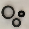 Custom Gas Pressure Sintering Si3N4 Silicon Nitride Ceramic Seal Ring