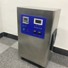 Customized 220 Voltage 10g/Hr Ozone Generator Air Purifier Disinfection Machine