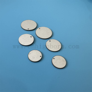 Piezoelectric Ceramic Ultrasonic Beauty Plate Double-sided Electrode Ceramic Disc