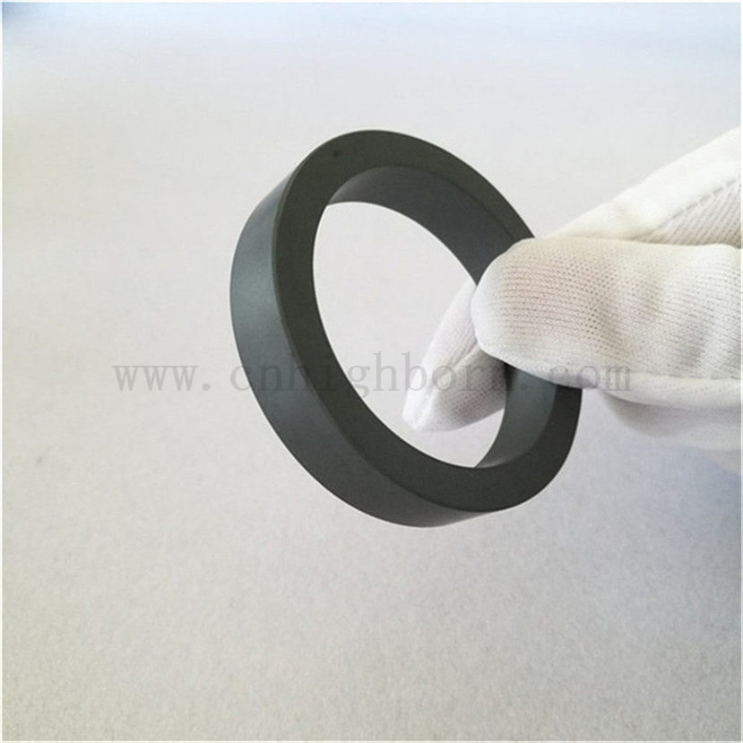  SSIC Part Silicon Carbide Ceramic Seal Ring