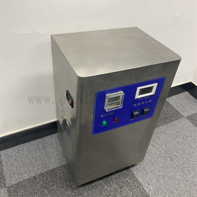 Customized 220 Voltage 10g/Hr Ozone Generator Air Purifier Disinfection Machine