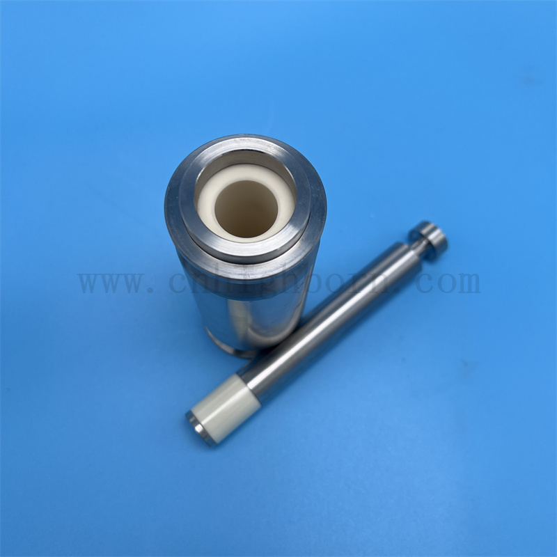 Customized Alumina Pump Al2O3 Cylinder Pistons Ceramic Plunger