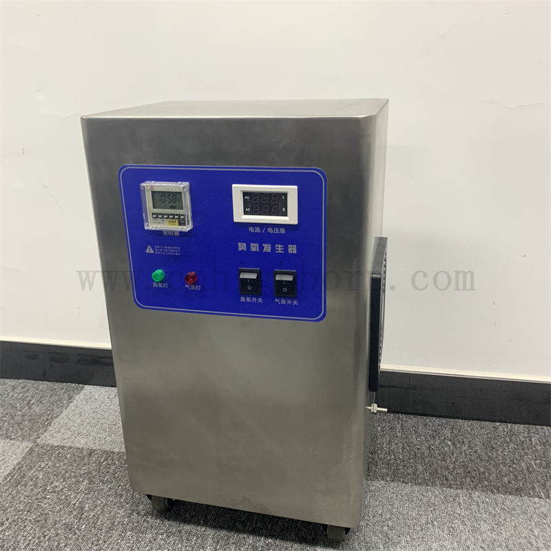 Customized 220 Voltage 10g/Hr Ozone Generator Air Purifier Disinfection Machine