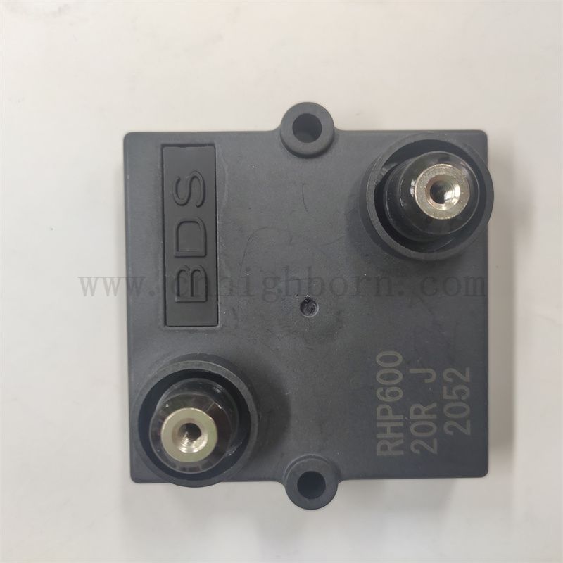 RHP250 resistor