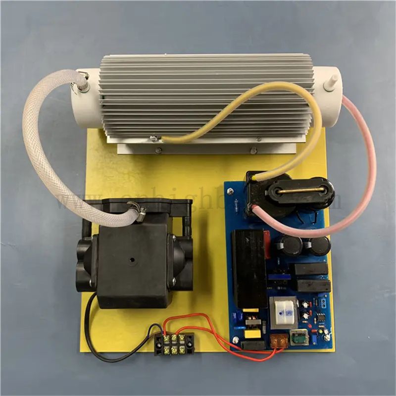 Multi-functional 220V 20g Ozone Generator Sterilization Module for Water Treatment 