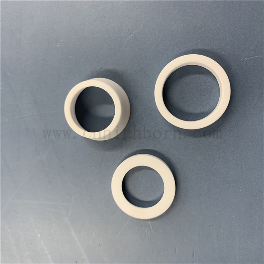 Customized High-hardness Alumina Ceramic Protection Cycle 95% AL2O3 Seal Ring