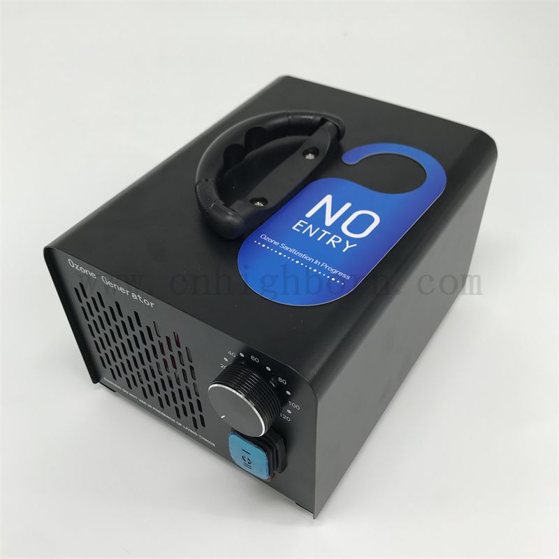 Multifunctional ozone generator machine portable air purifier 220V 10g/H ozonizer water treatment ozonator