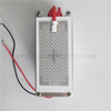 220V 10g/H Metal Mesh Ceramic Plate Ozone Generator Ozonizer Module