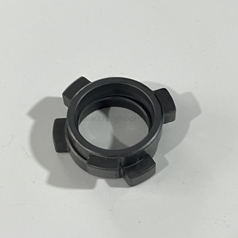 SiC Silicon Carbide SSIC Seal Rings Ceramic O-ring