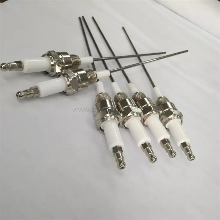 Customized Alumina Ceramic Gas Ignition Electrode Igniter Probe
