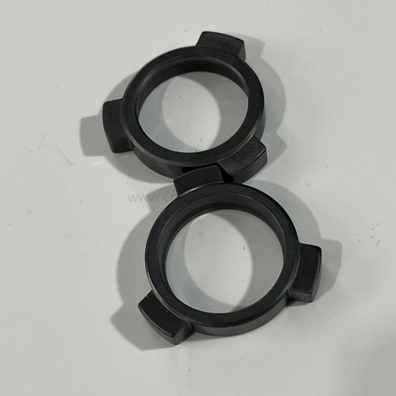 SiC Silicon Carbide SSIC Seal Rings Ceramic O-ring